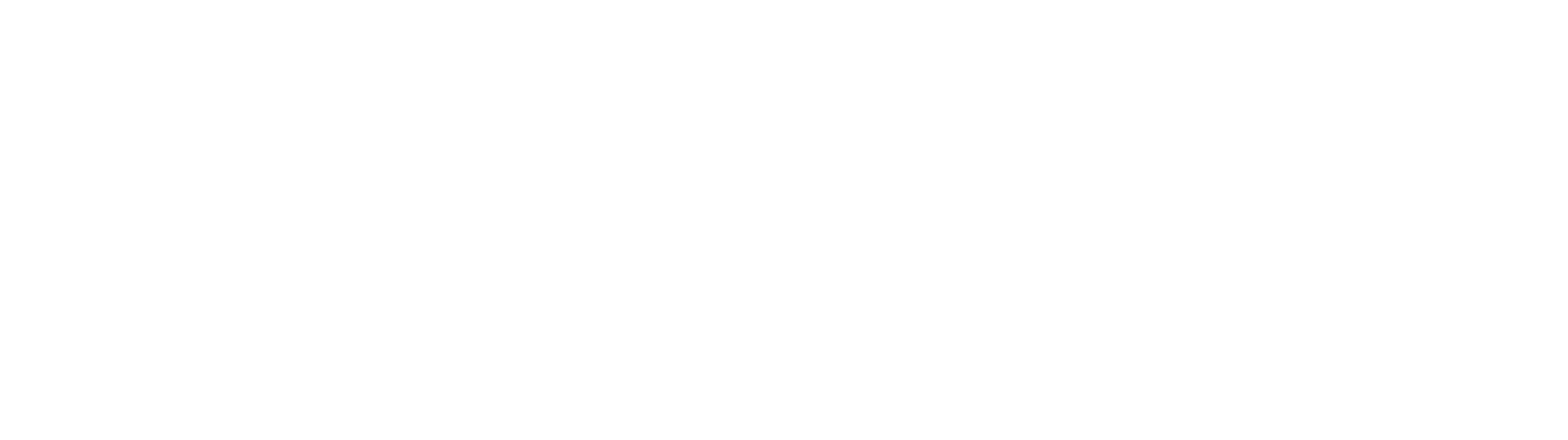 eleven_logo_white